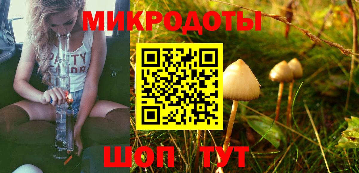 Туапсе  Псилоцибиновые грибы Psilocybine cubensis  Вход с VPN  Псилоцибиновые грибы прущие грибы 